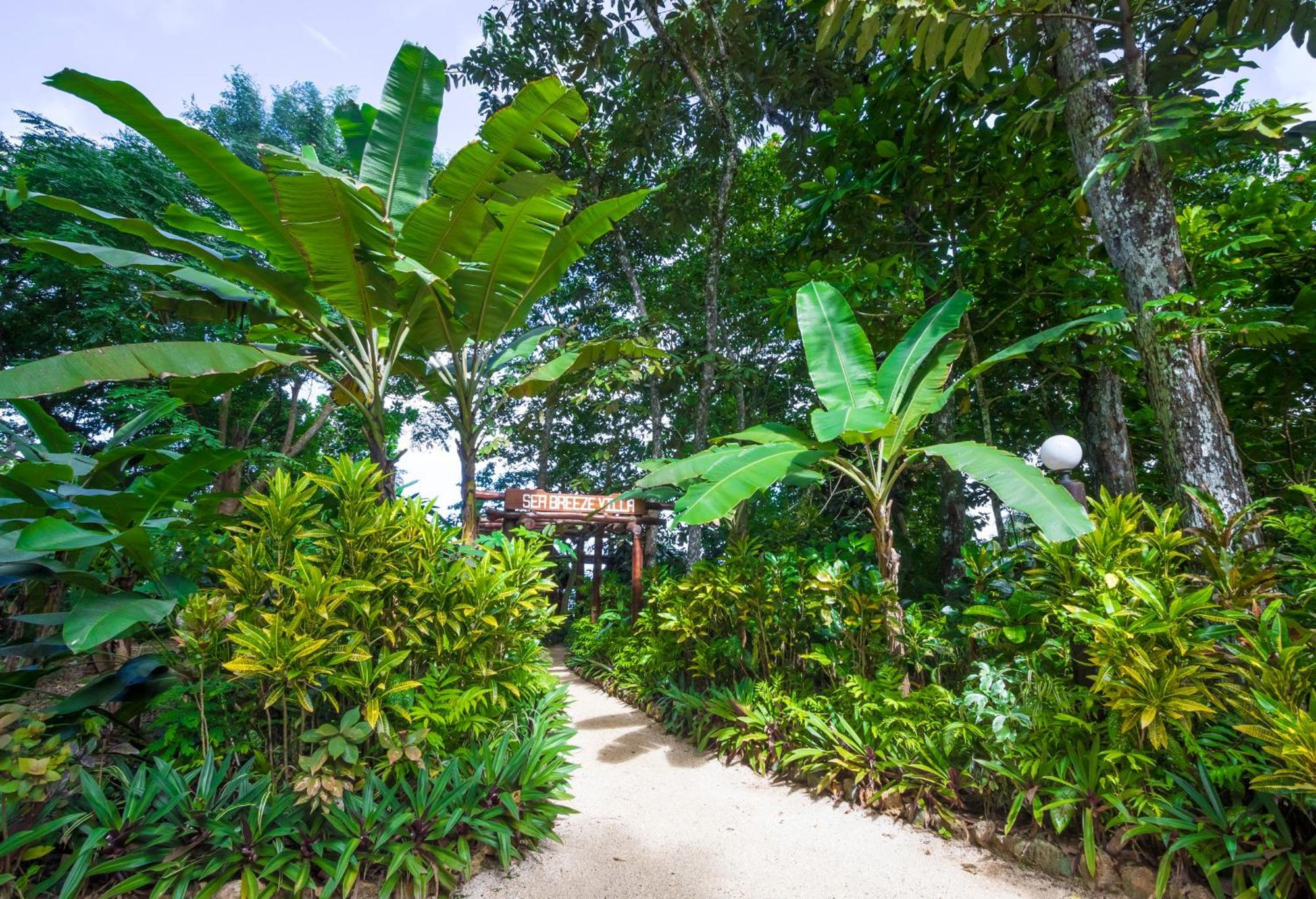 Savasi Island Resort Savusavu Cameră foto