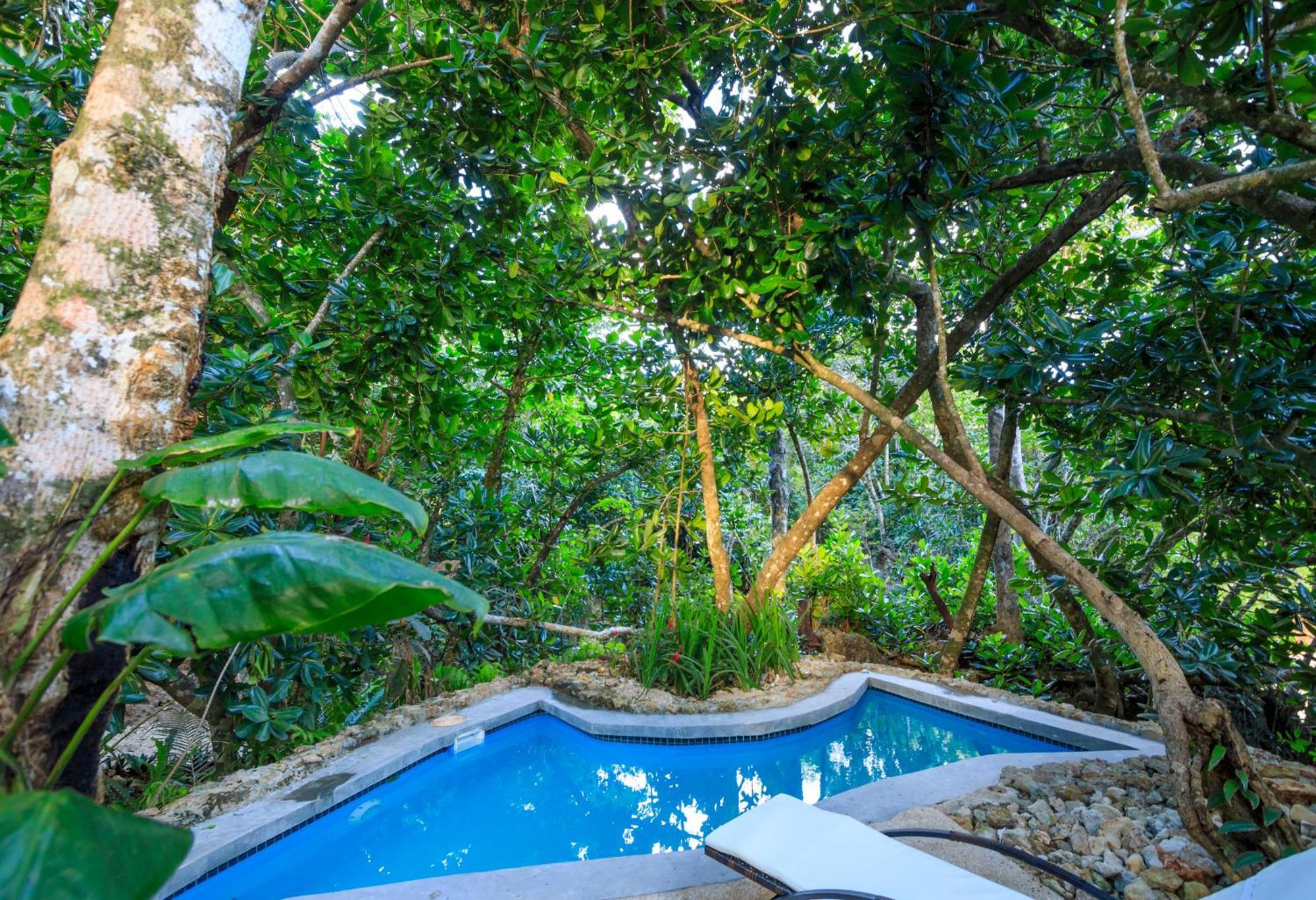 Savasi Island Resort Savusavu Cameră foto